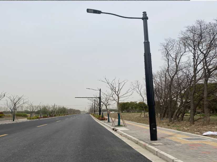 永德县上海综合杆 太阳能路灯工程
